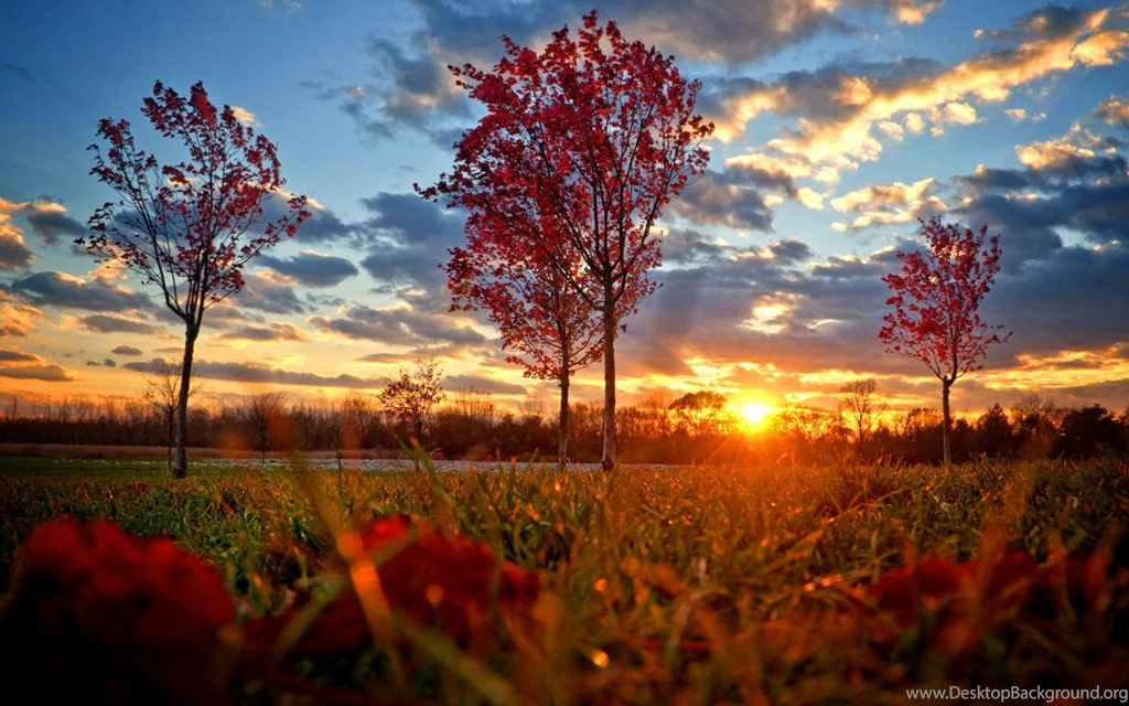 Landscape Sunset Autumn Wallpapers