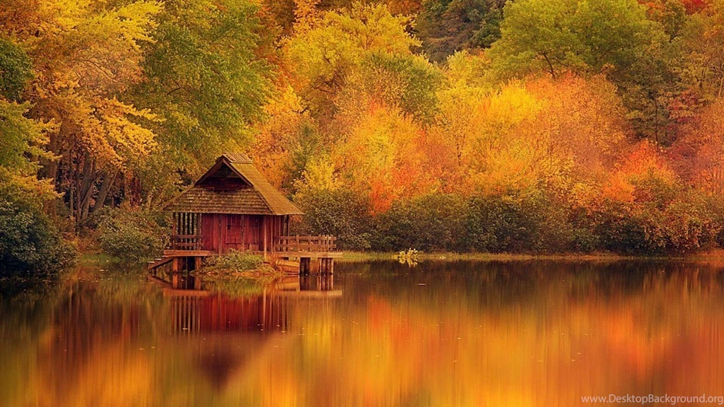 AUTUMN Fall Landscape Nature Tree Forest Wallpapers