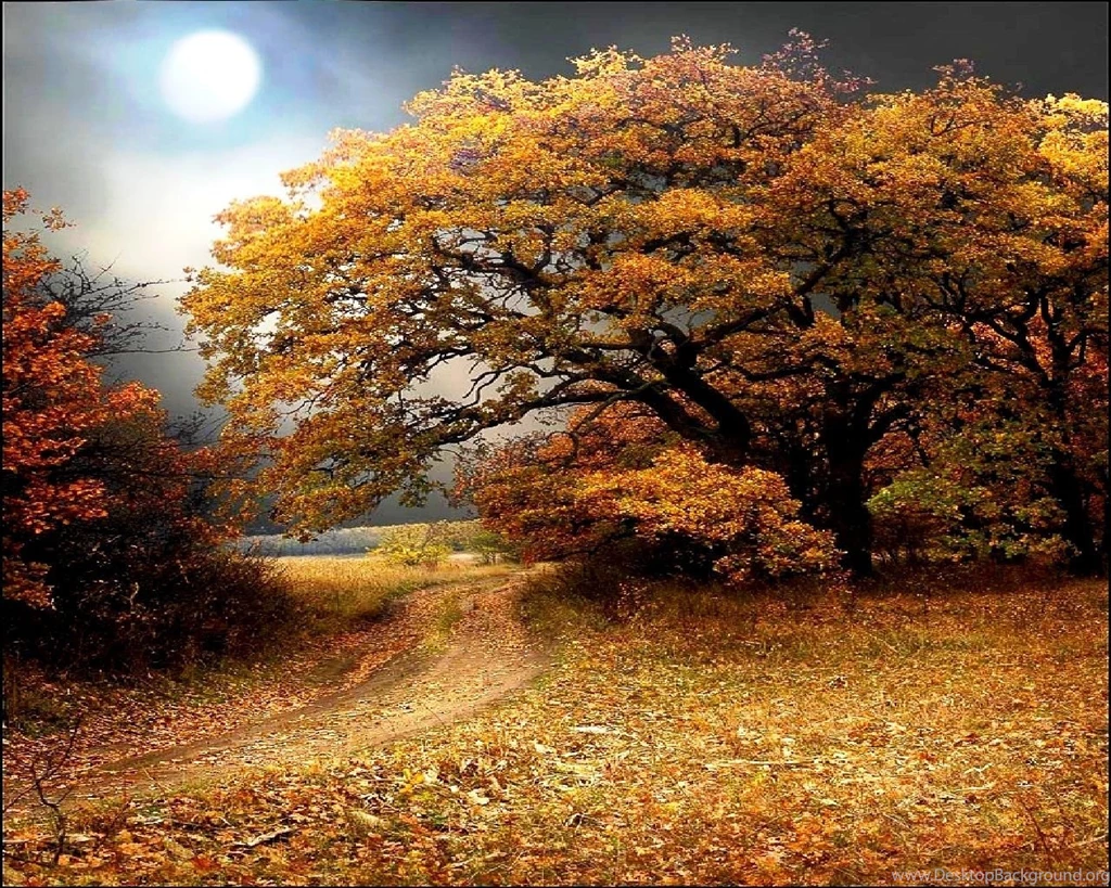 Fall Landscape Wallpapers Moon Fall Photos Of Selecting The Fall ...