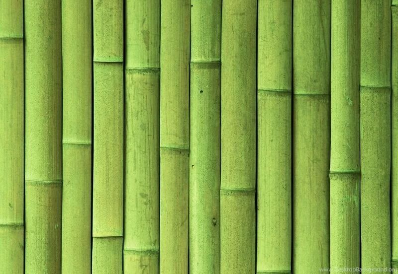 Green Bamboo.jpg
