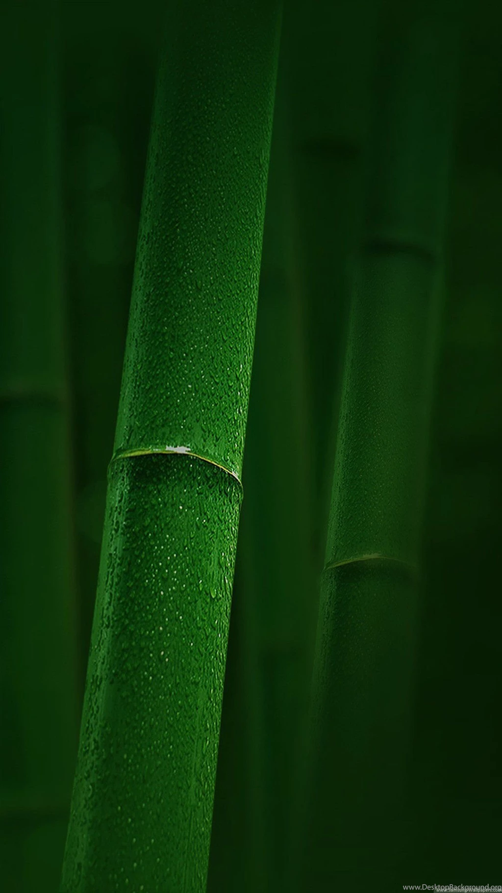 Green Bamboo Lock Screen 1080x1920 Samsung Galaxy Note 3 Wallpapers ...