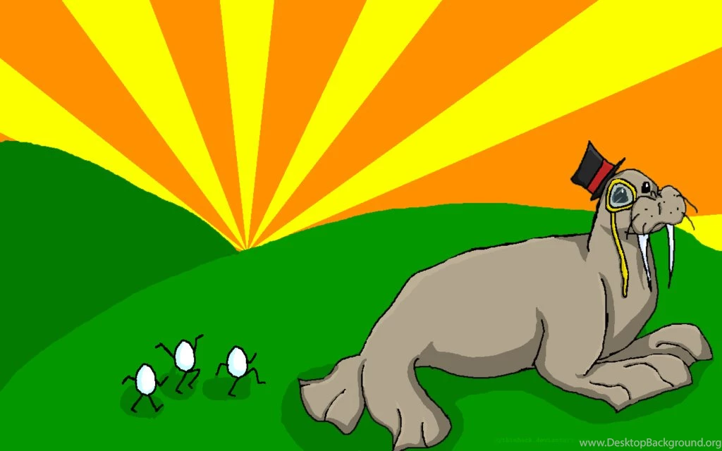 Walrus Wallpapers By MythIsBack On DeviantArt