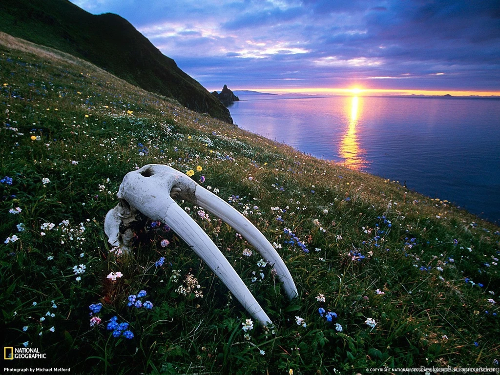40989_1600x1200 wallpaper cb1317991120.jpg