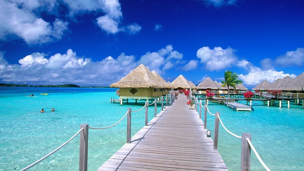 Sunshine Beach Backgrounds Wallpaper.