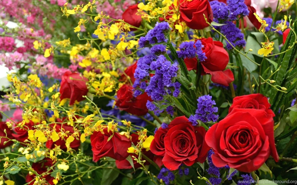 Ultra HD 4K Vibrant Wallpapers HD, Desktop Backgrounds 3840x2400