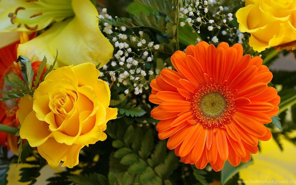 Wallpaper, Paperpm, Flower, Fantasy, Media, High, Garden, Desktop ...
