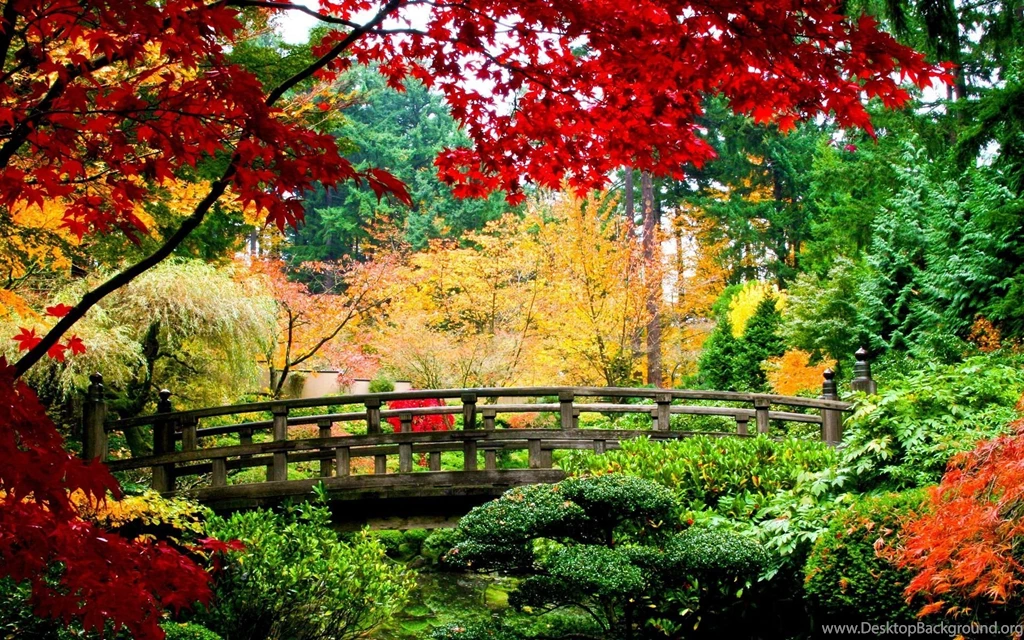 Asian Garden   Desktop Wallpapers