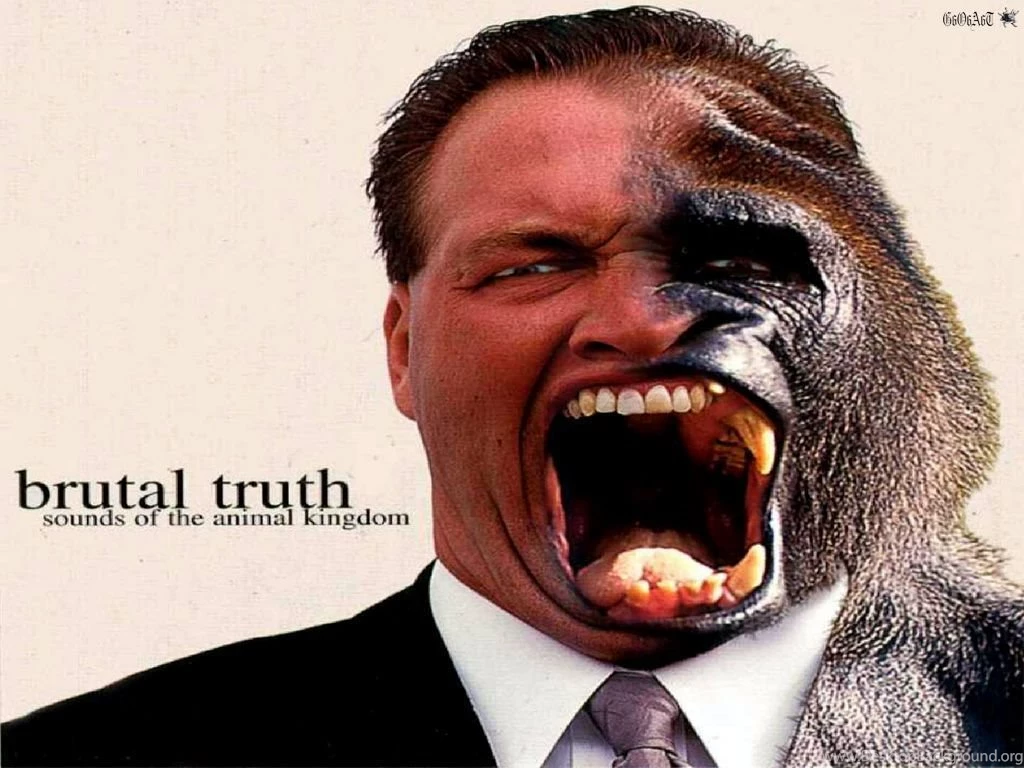 BRUTAL TRUTH   BANDSWALLPAPERS