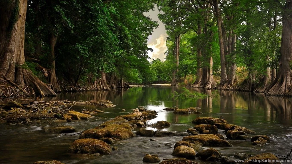 Wallpapers Hd 1366x768