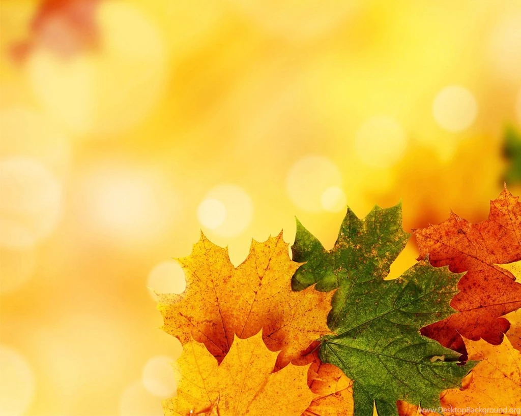 fall leaves backgrounds powerpoint desktop background fall powerpoint