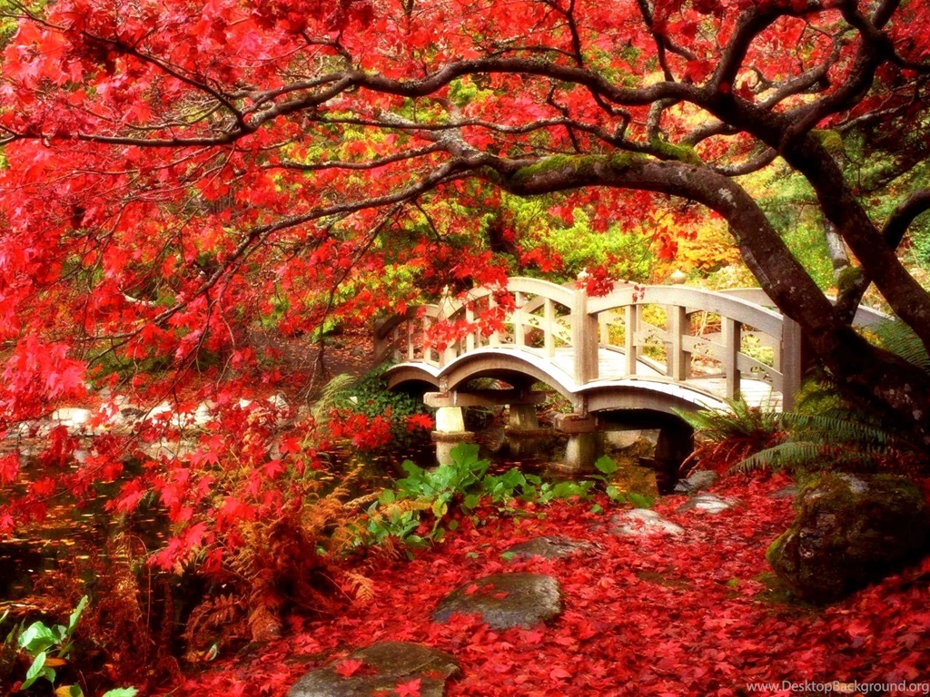 Selecting The Fall Landscape Wallpapers For Our Computer Screen ...