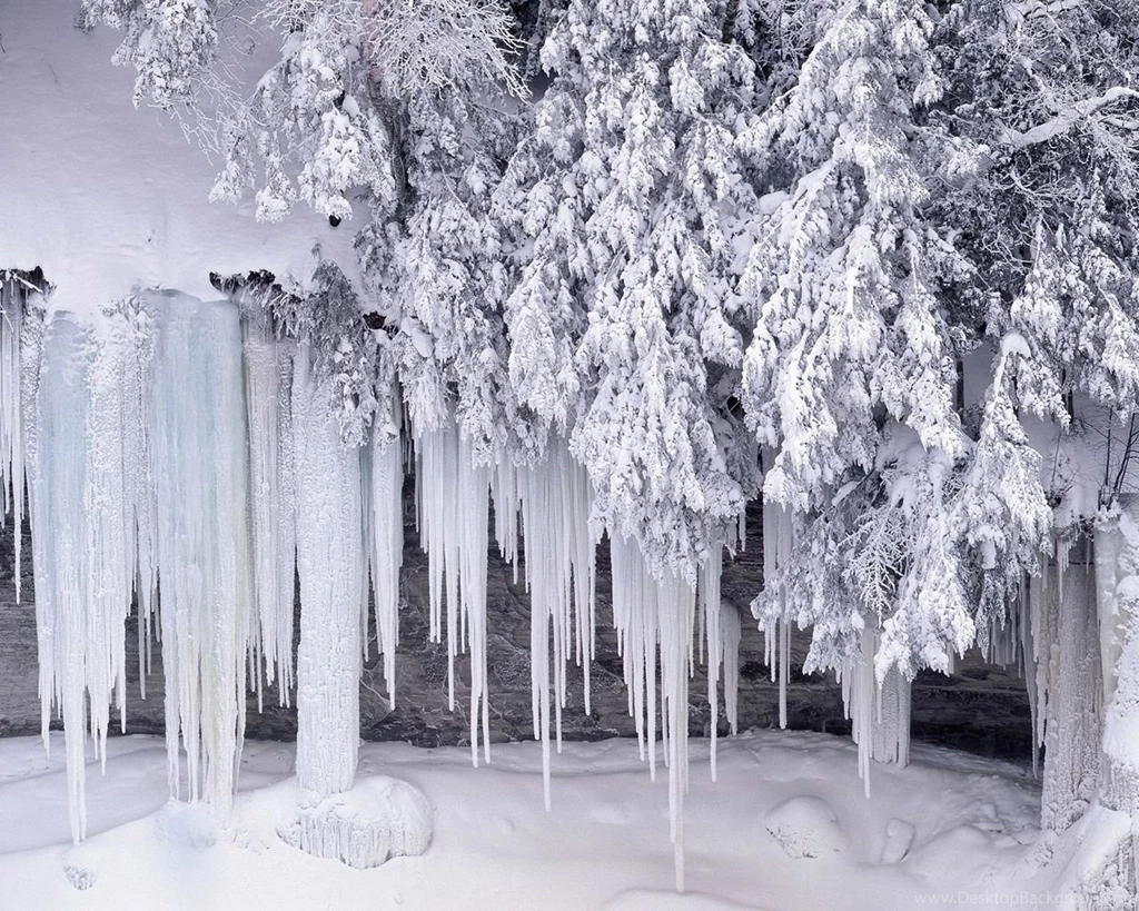 Free Winter Wallpapers
