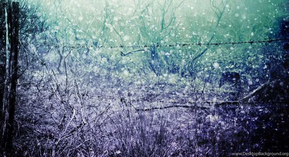 Free Desktop Wallpapers
