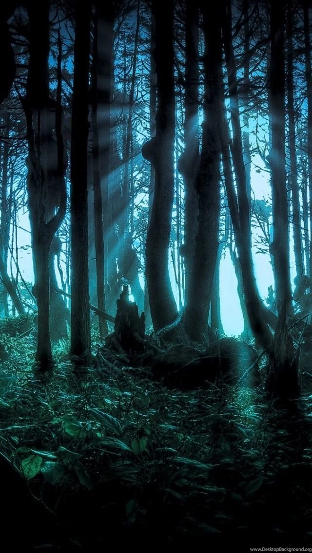 Halloween : Happy Halloween Wallpapers