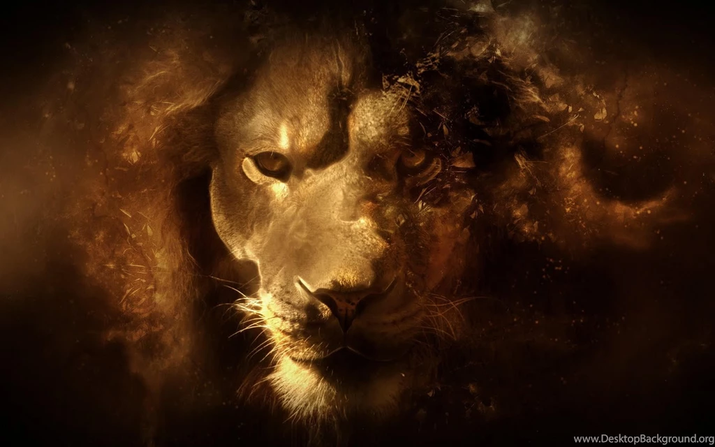 Desktop amazing lion pictures.jpg