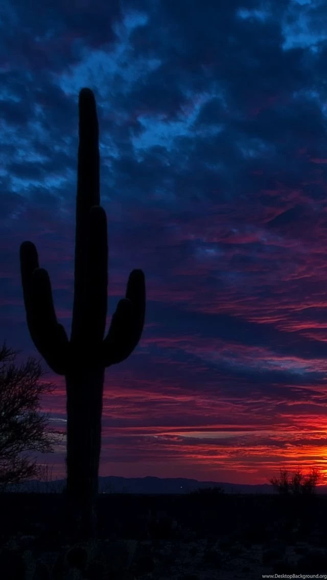 iPhone 5S, 5C, 5 Nature Wallpapers, Desktop Backgrounds HD