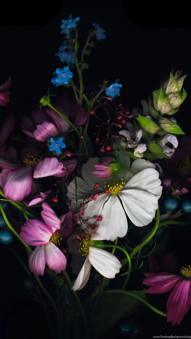 25 HD Retina Wallpapers Collection Of iPhone 6 Plus
