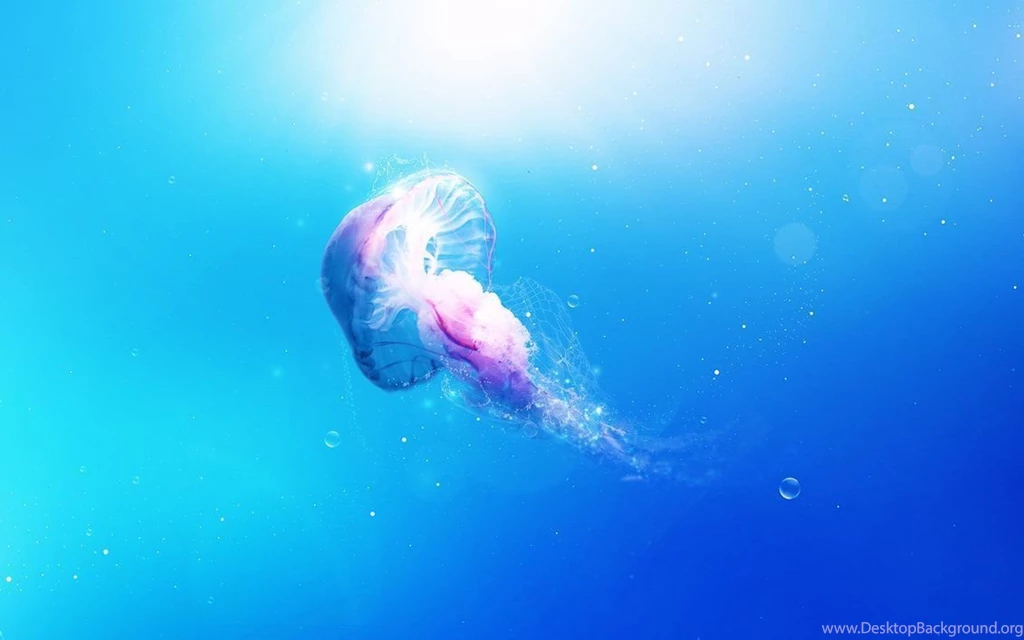Jellyfish Wallpapers By InfiniteCreations On DeviantArt