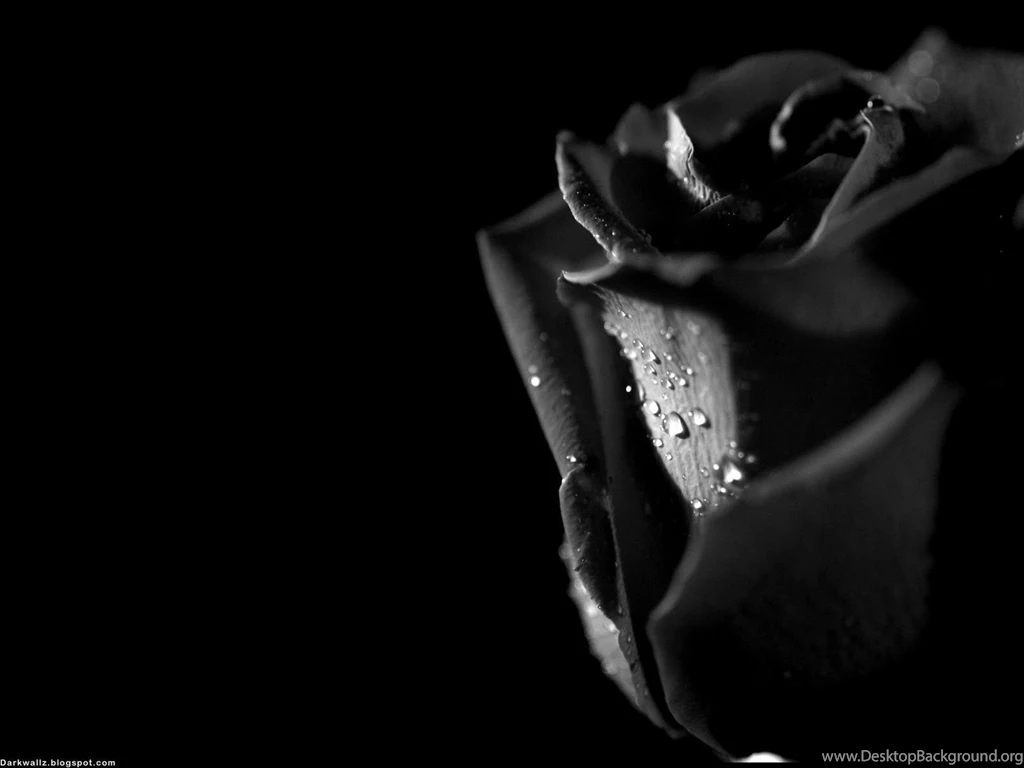 Dark Desktop Wallpapers