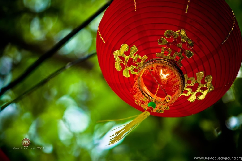 Pro Video Coalition Chinese New Year Wallpapers By Matt Brandon