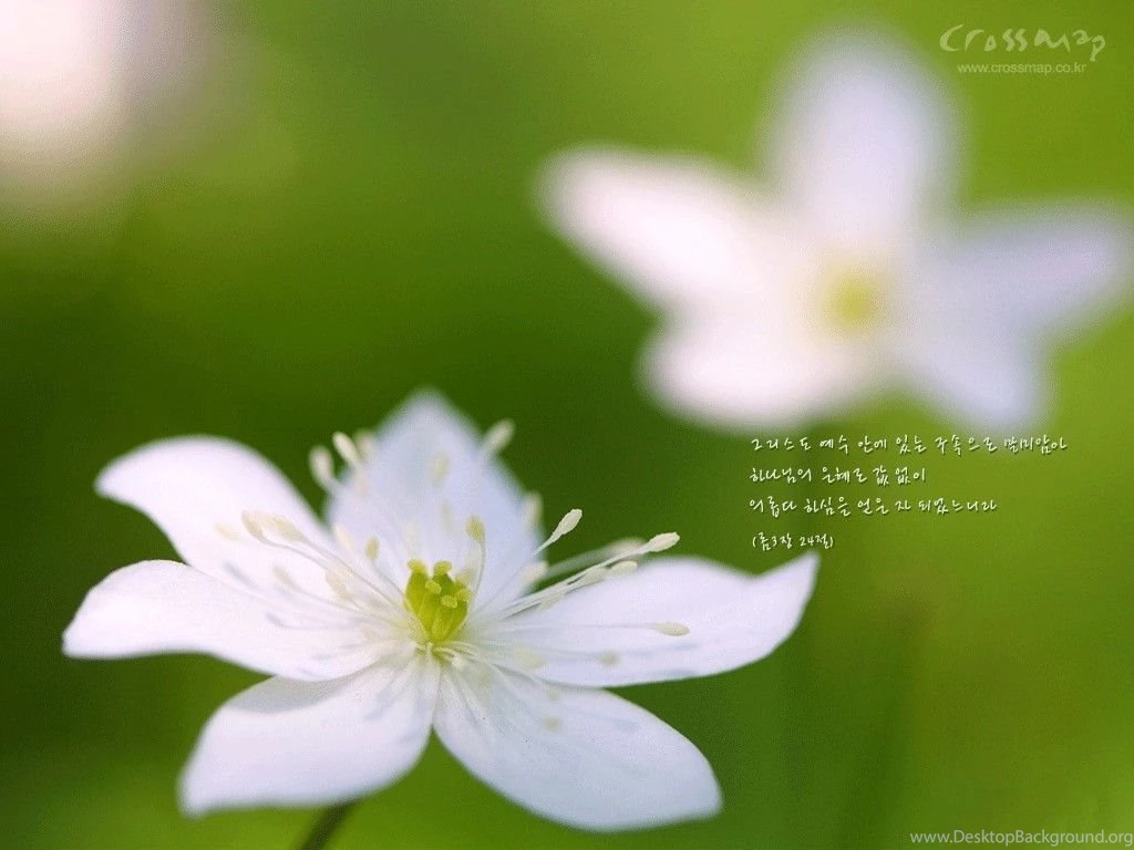 Scenery Wallpapers With Bible Verses 1024x768 NO.9 Desktop ...