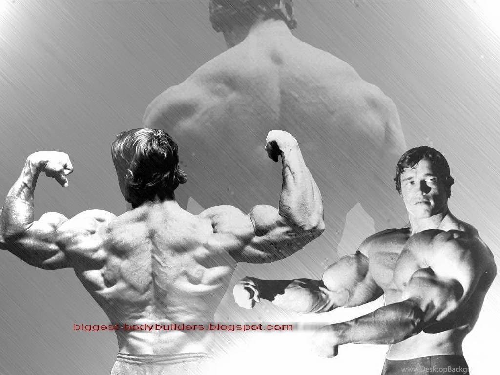 Biggest Body Builders: Arnold Schwarzenegger Wallpapers Hd