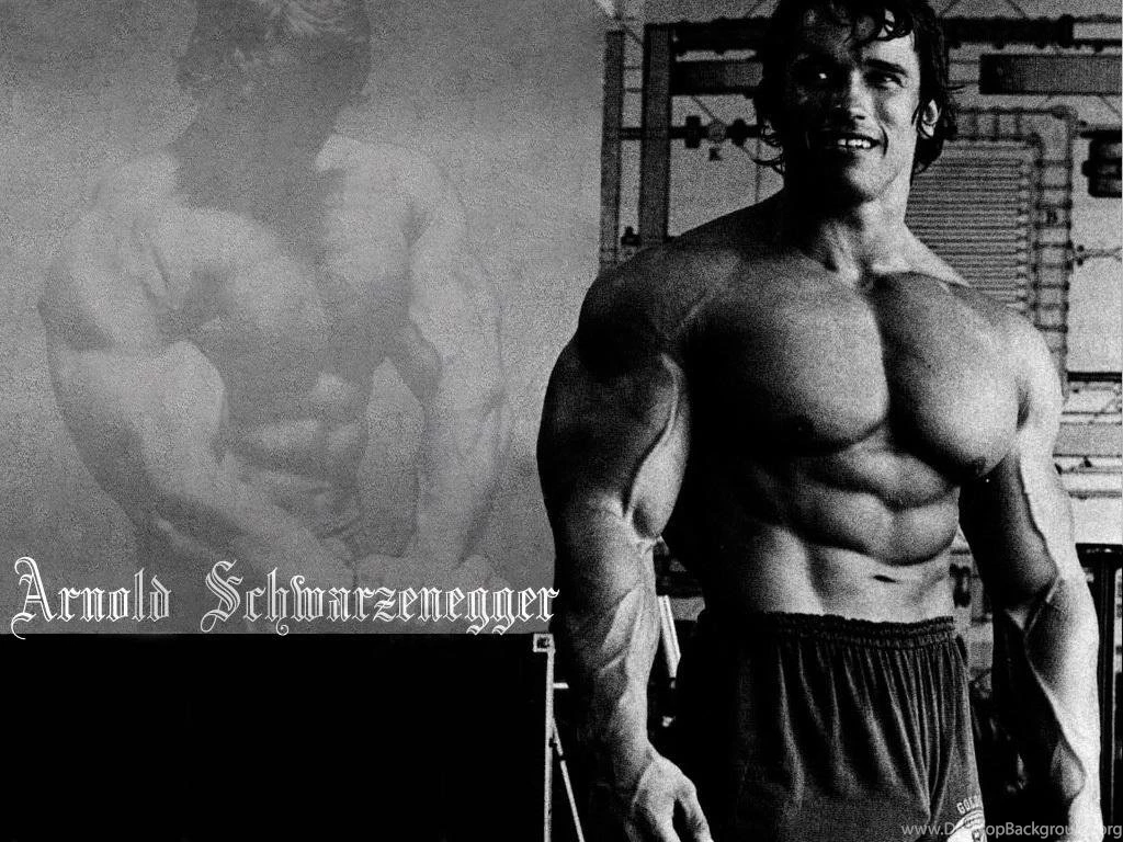Gallery For Arnold Schwarzenegger Bodybuilding Iphone Wallpapers