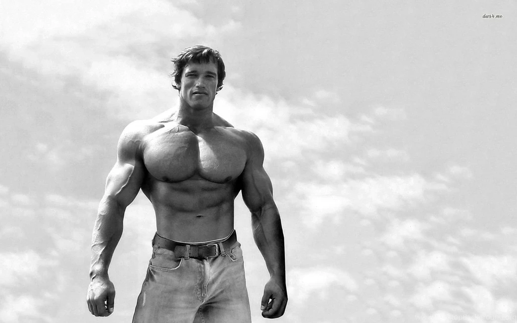 Arnold Schwarzenegger Wallpapers Male Celebrity Wallpapers