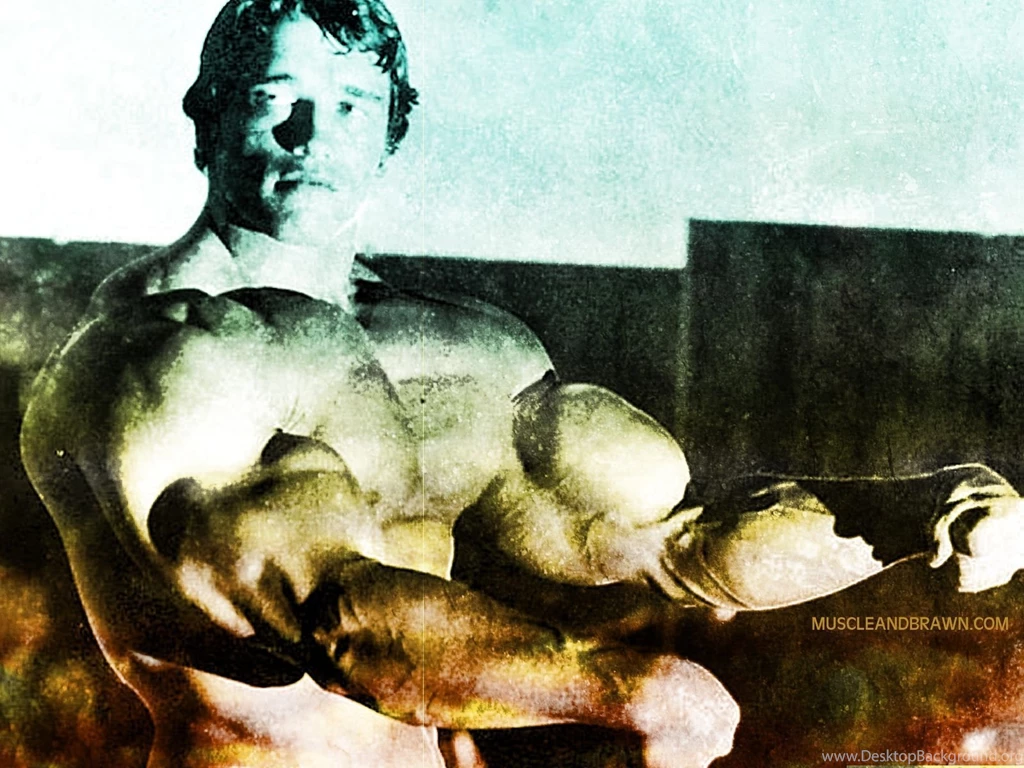 Arnold Schwarzenegger Wallpapers Muscle And Brawn