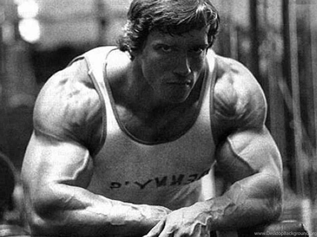 Arnold Schwarzenegger Desktop Wallpaper.jpg