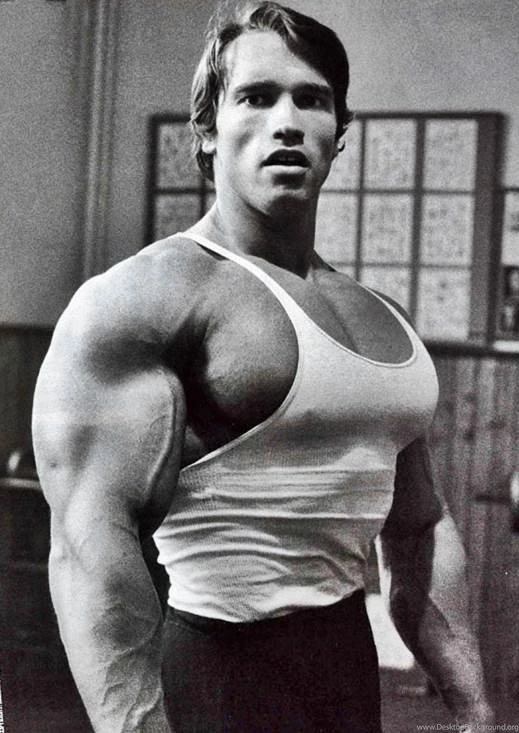 Arnold Schwarzenegger Bodybuilding Back   Wallpaper.