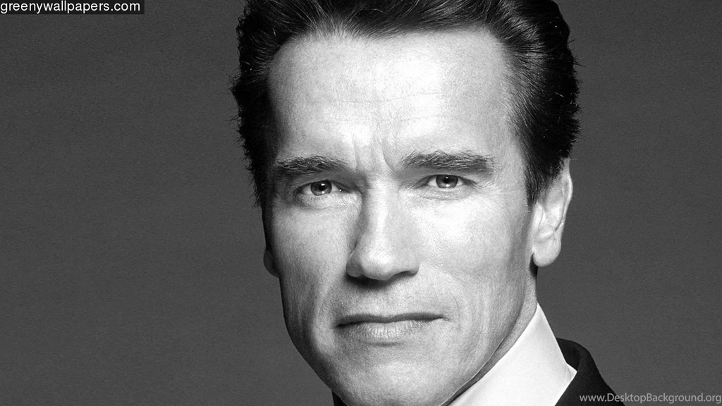 Arnold Schwarzenegger Arnold 1920x1080 Wallpapers