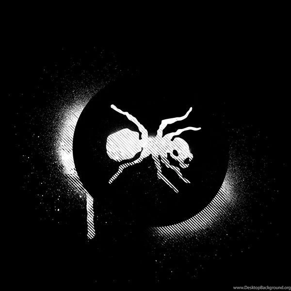 THE PRODIGY On Behance