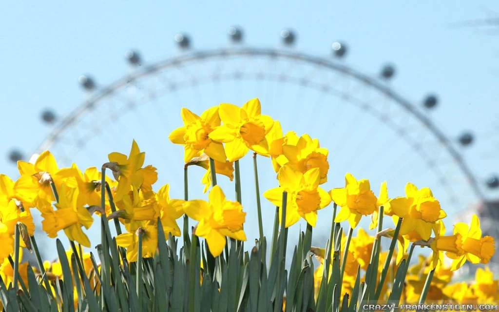 Spring In London Wallpapers Crazy Frankenstein