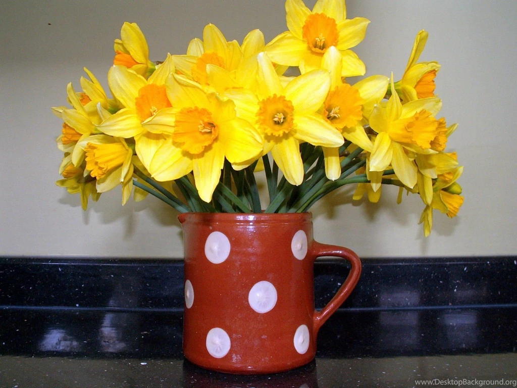 SUNSHINE DAFFODILS WALLPAPER (