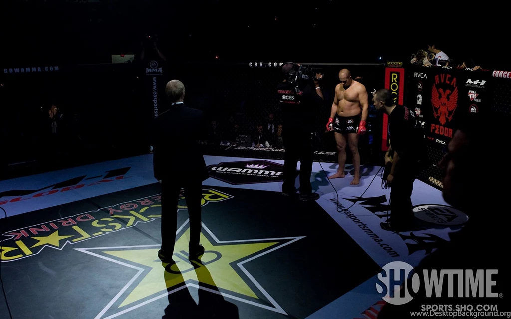 12 Fedor Emelianenko HD Wallpapers