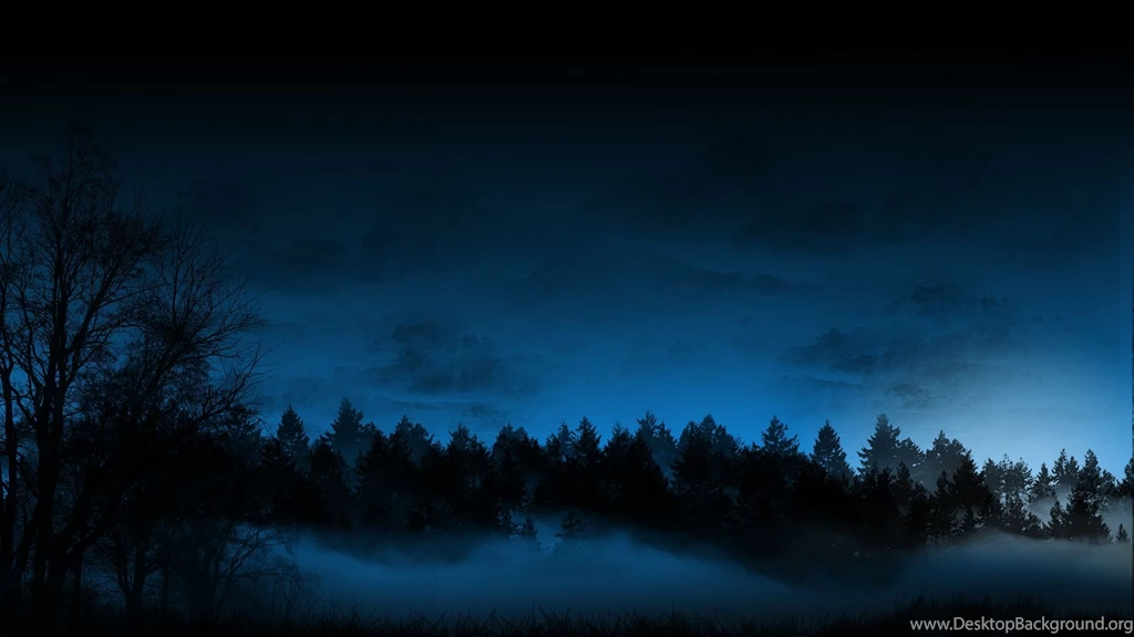 23 Forest HD Wallpapers