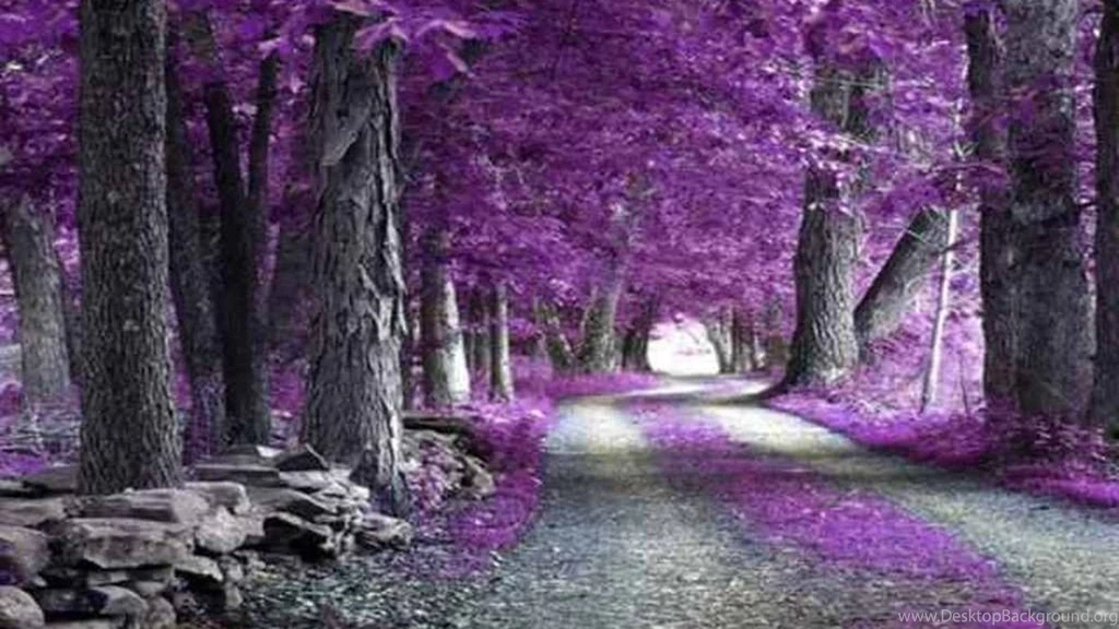 Cool Textures Nature Misc The Purple Forest Wallpapers