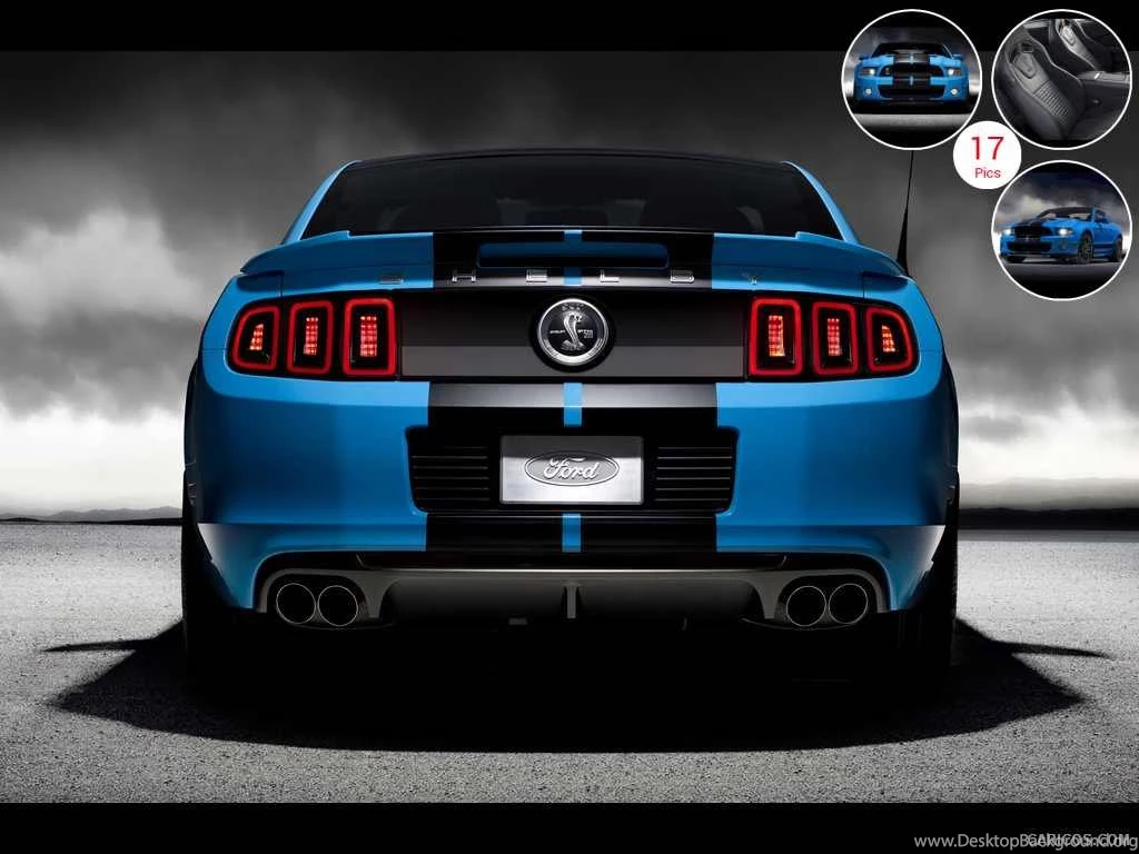 2013 Ford Mustang Shelby GT500   Rear