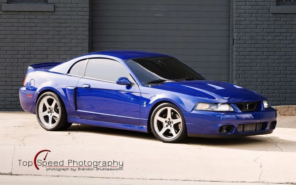 Gallery For Svt Mustang Cobra Wallpapers