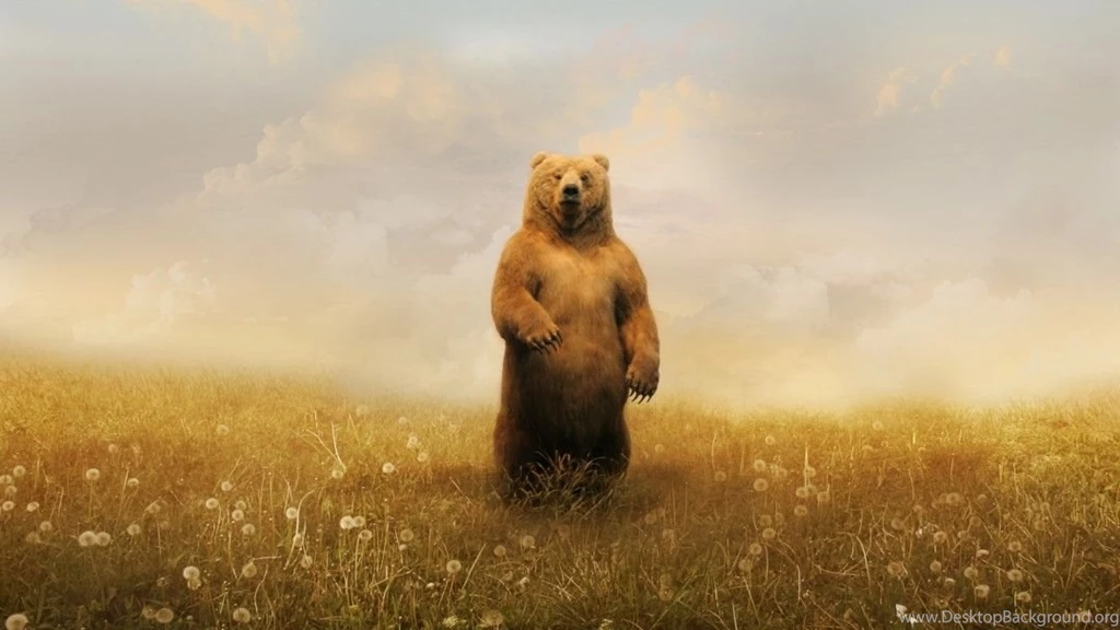 Animal Wallpapers A5 Wallpapers