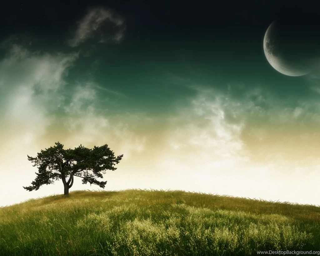 Full HD Wallpapers + Nature, Trees, Green