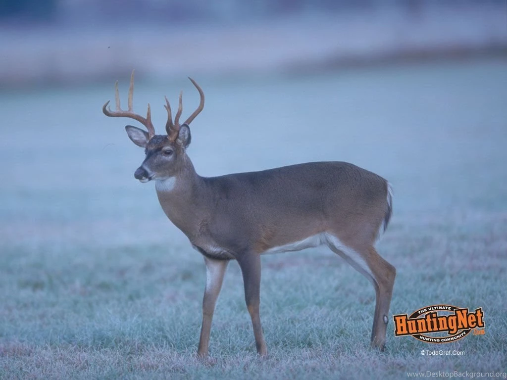 Desktop Backgrounds Hunting 1661606