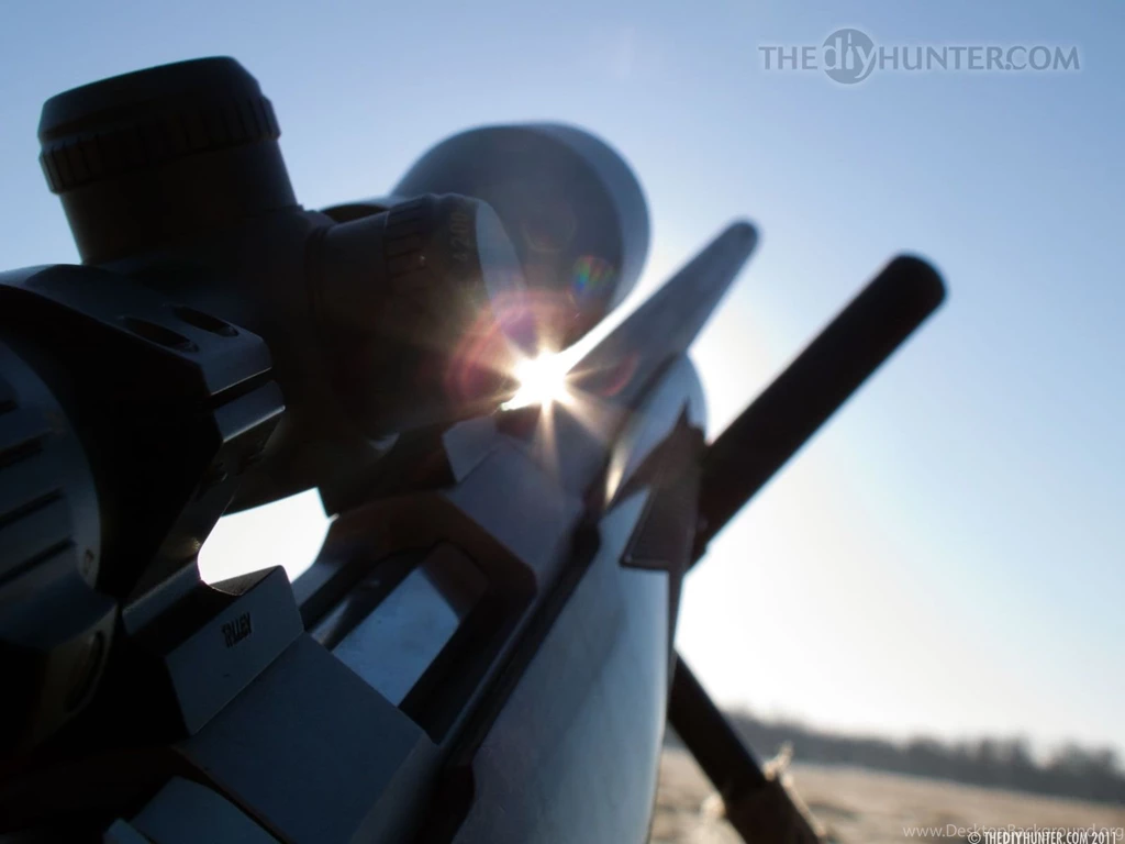 The DIY Hunter Big Game Hunting — Mule Deer, Elk, Whitetail Deer ...