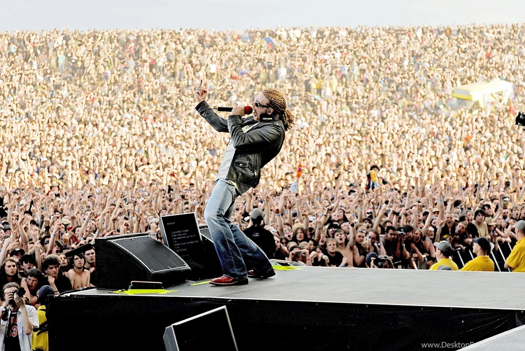 GUNS N ROSES Heavy Metal Hair Hard Rock Concert Crowd Wallpapers ...