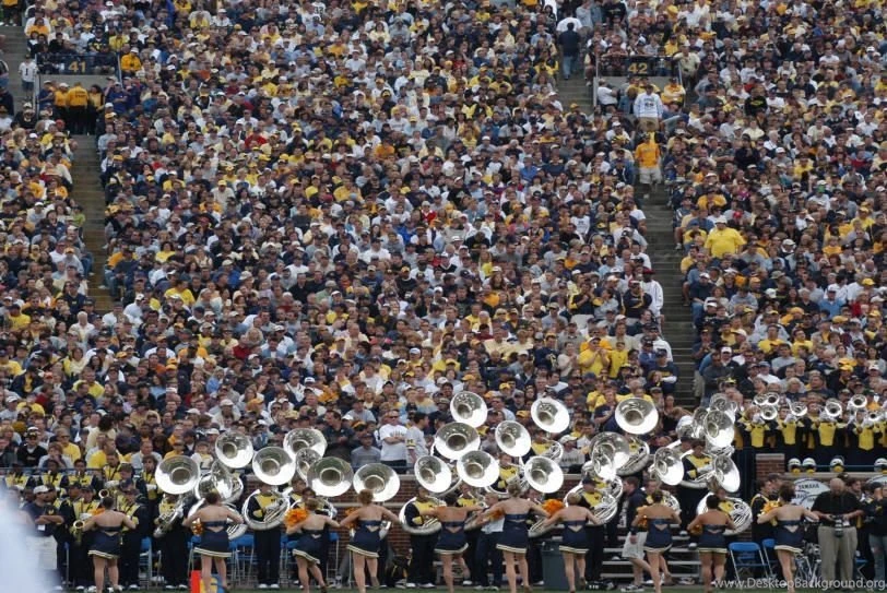 Gallery For   Football Crowd Wallpapers