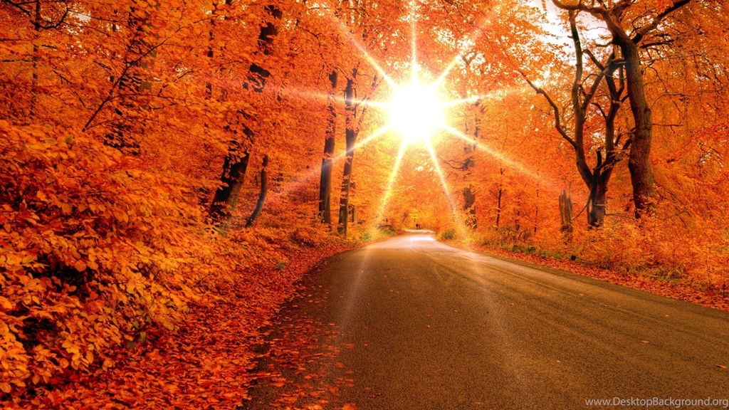 2560x1440 Autumn Road Desktop PC And Mac Wallpapers