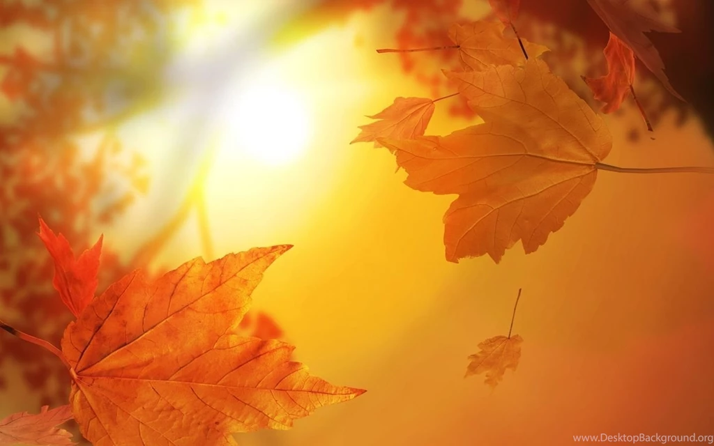 Autumn Leaves Mac Wallpapers Download