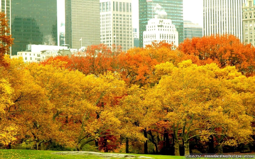 Autumn In New York Wallpapers   Seasonal   Crazy Frankenstein