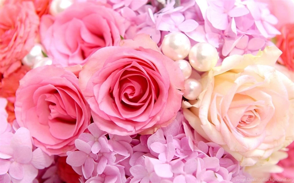 Pink Roses Backgrounds